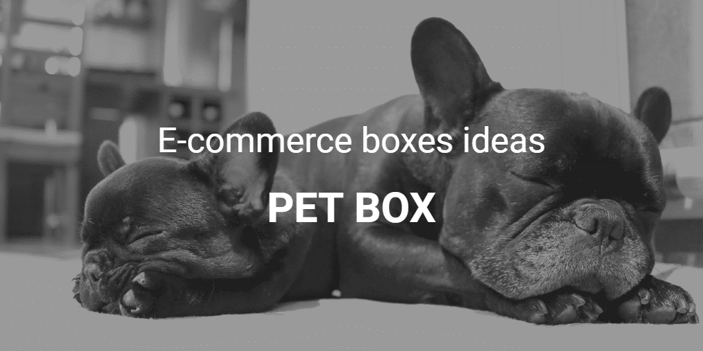 boxes ideas Pet Boxes Blog Payfacile
